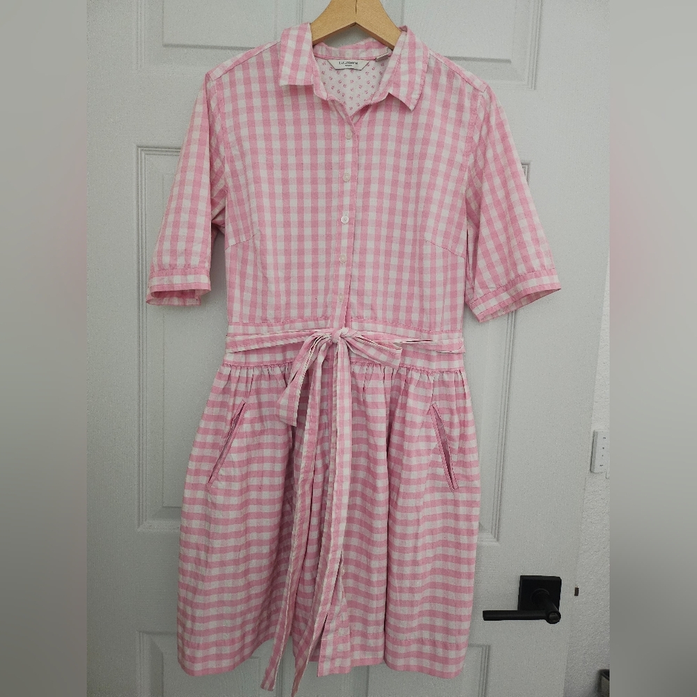 Pink Gingham Shirtwaist Dress